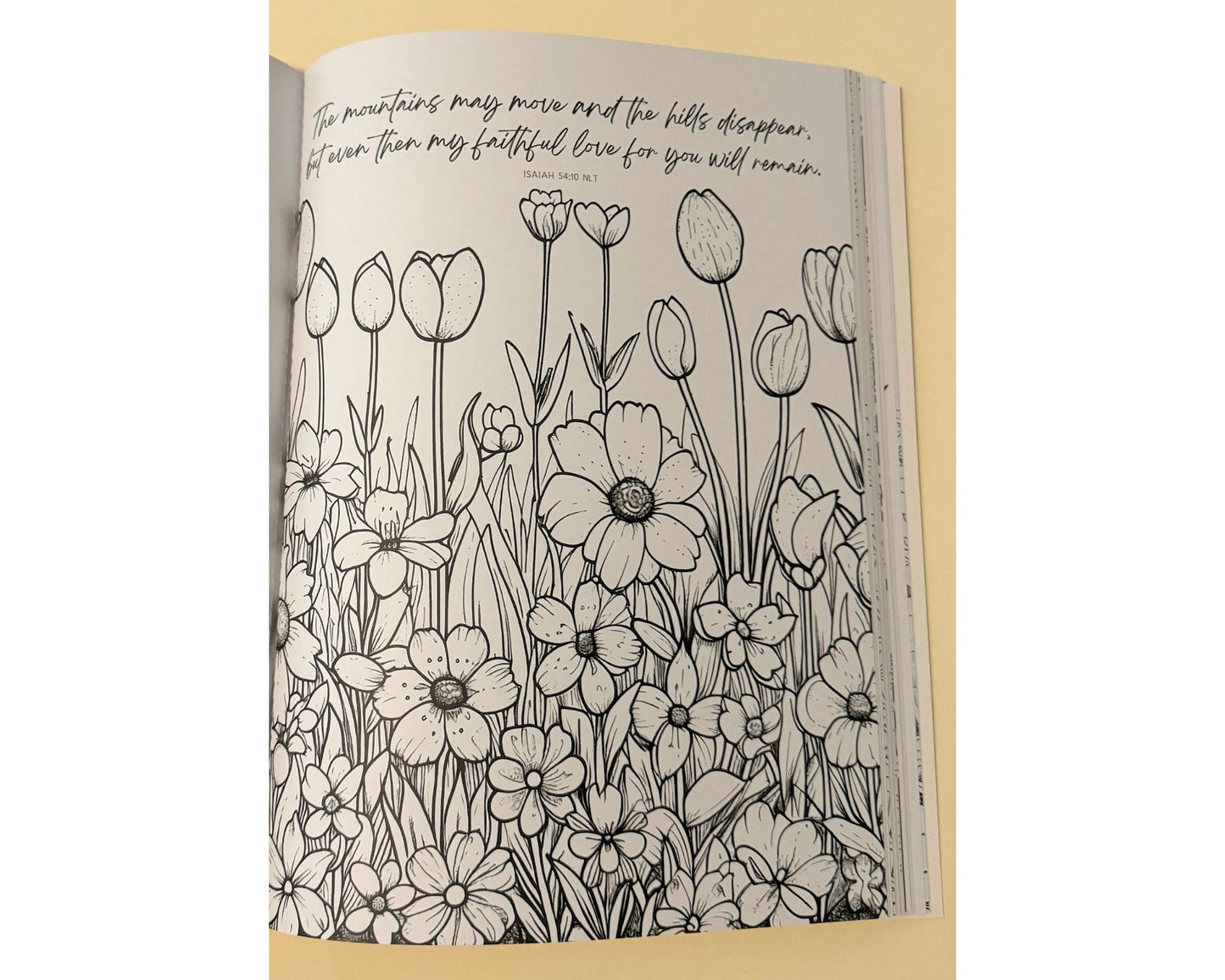 Christian Coloring Books