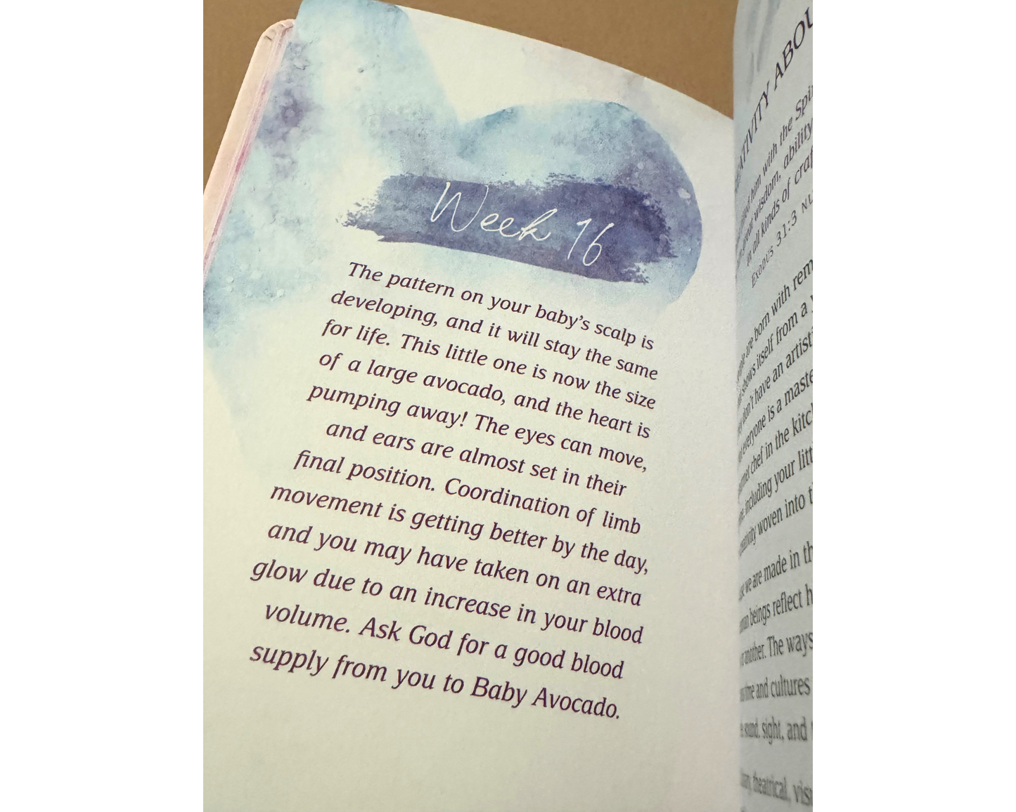 Love you Already 40 Week Devotional